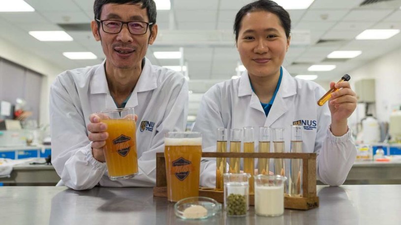 Naukowcy opracowali piwo o leczniczych właściwościach /materiały prasowe