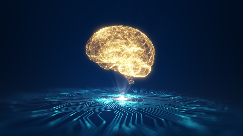 Naukowcy pokazują nowy sposób obrazowania mózgu /123RF/PICSEL