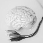 Naukowcy połączyli sztuczną inteligencję z „minimózgiem” 