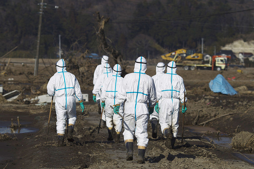 Naukowcy postanowili sprawdzić, jak katastrofa elektrowni jądrowej w Fukushimie wpłynęła na życie okolicznych roślin /Athit Perawongmetha / Contributor /Getty Images