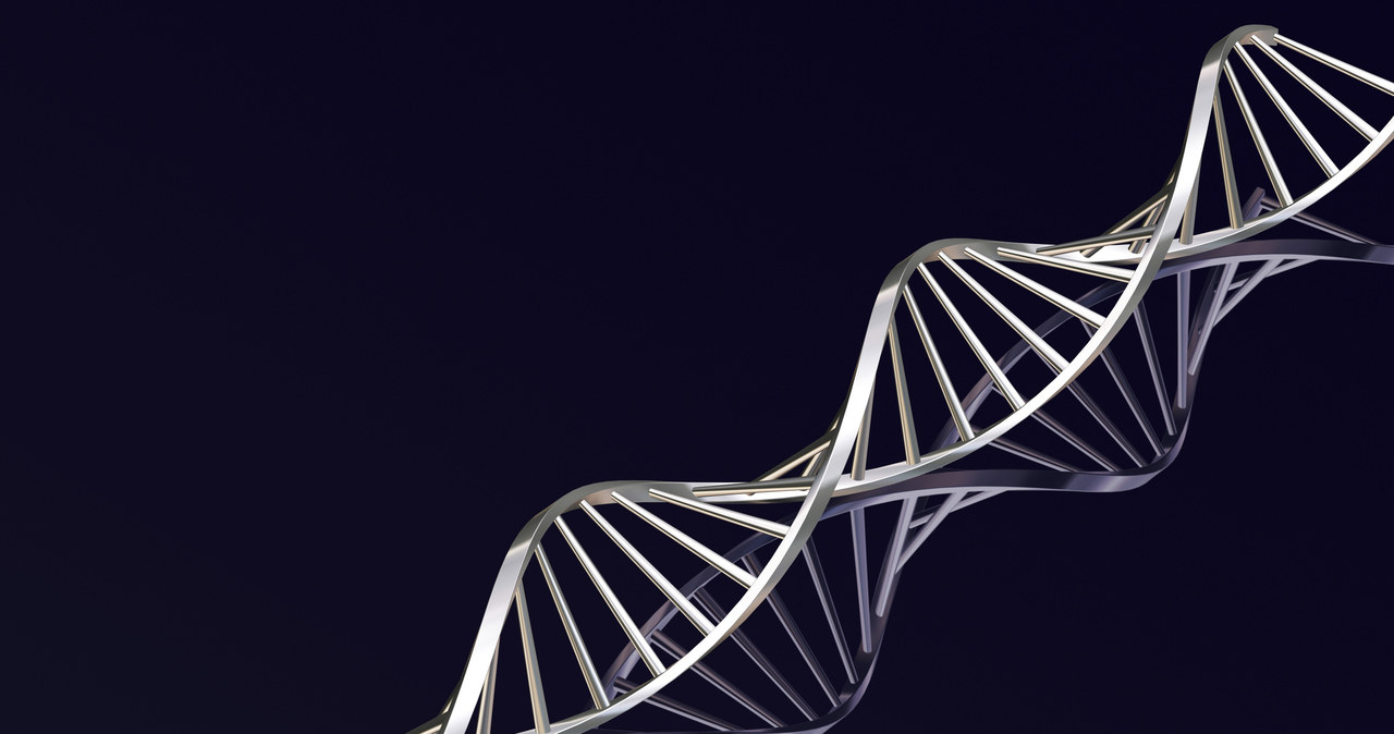 Naukowcy potrafią coraz lepiej manipulować genami /© Glowimages