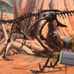 dinozaury Naukowcy poznali sekrety inteligentnego dinozaura i złapali się za głowy