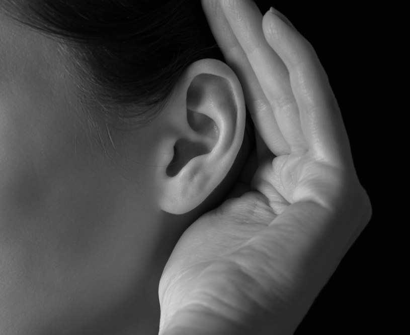 Naukowcy przywrócili słuch u myszy. Teraz kolej na ludzi? /123RF/PICSEL
