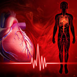 Naukowcy stworzyli najbardziej szczegółową mapę ludzkiego serca