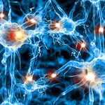 Naukowcy stworzyli największą na świecie sztuczną sieć neuronową