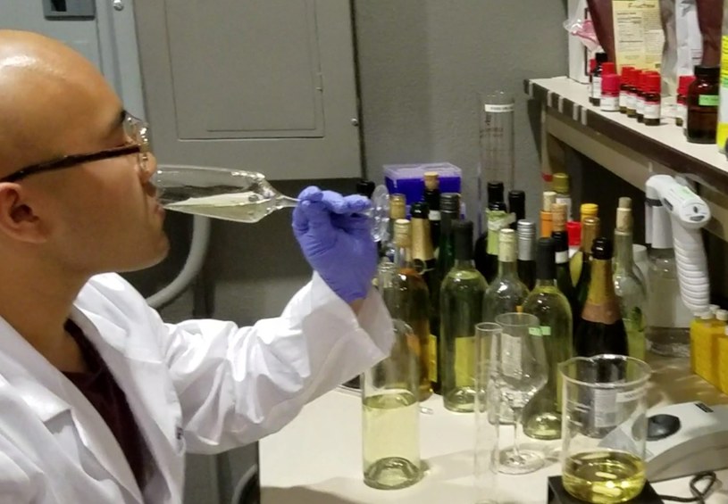 Naukowcy stworzyli wino z wody /East News