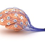 Naukowcy stworzyli "wyłącznik mózgu"