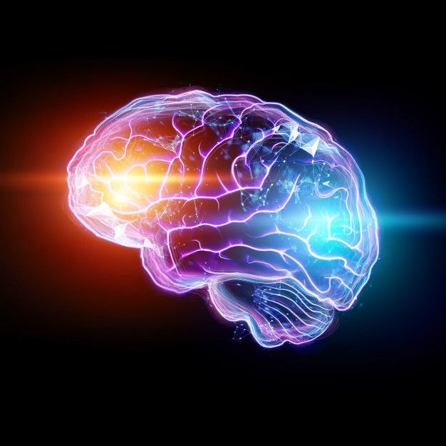 Naukowcy twierdzą, że wiedzą, gdzie w mózgu powstają ludzkie myśli /East News