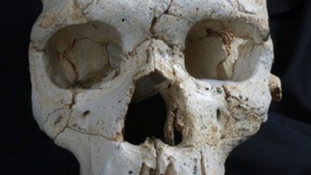 Naukowcy udowodnili zabójstwo sprzed 430 tysięcy lat /INTERIA.PL/materiały prasowe