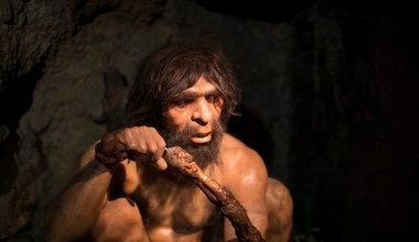 Naukowcy ujawniają tajemnicę krzyżowania się neandertalczyków i denisowian