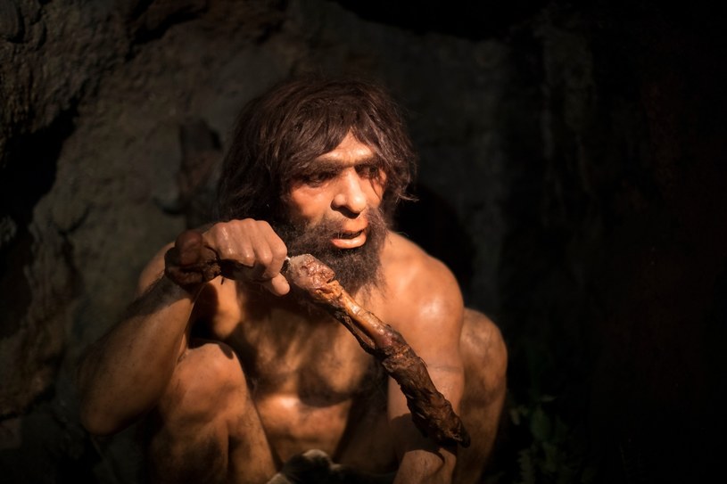 Naukowcy ujawniają tajemnicę neandertalskich genów w naszym DNA /lestertair /123RF/PICSEL