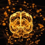 Naukowcy ujawnili złożoność ludzkiego mózgu. Graniczy ona z chaosem