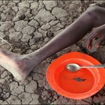 Naukowcy: W ciągu dziesięciu lat na świecie zapanuje głód