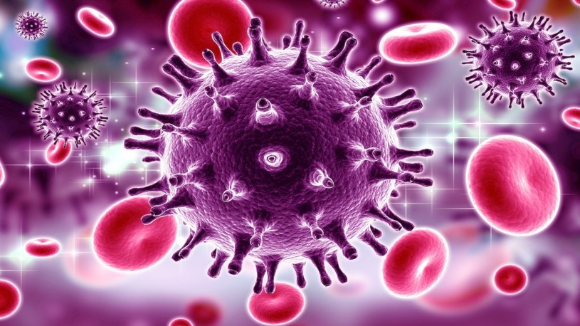 Naukowcy w końcu odkryli sposób na całkowite pozbycie się wirusa HIV /Geekweek