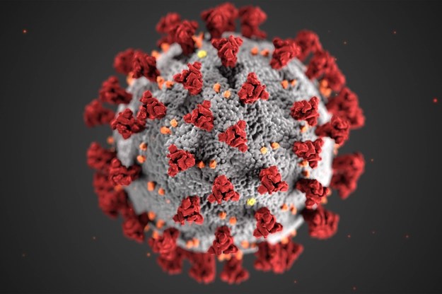 Naukowcy w większości oceniają, że wirus pochodzi od zwierząt /PAP/Newscom