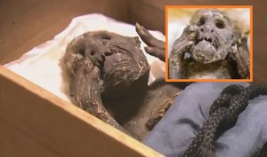 Naukowcy wiedzą, czym była przerażająca mumia syreny z Japonii