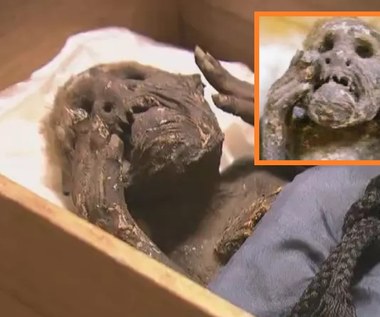Naukowcy wiedzą, czym była przerażająca mumia syreny z Japonii