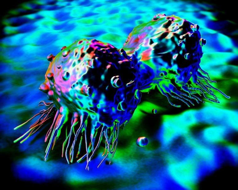 Naukowcy wiedzą jak zamienić komórki nowotworowe w zdrowe /123RF/PICSEL