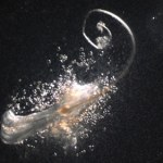 Naukowcy wyhodowali mieszki włosowe. Przełom w walce z łysieniem