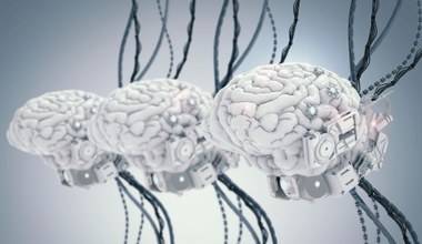 Naukowcy wyhodowali miniaturowe ludzkie mózgi i umieścili je wewnątrz robotów 