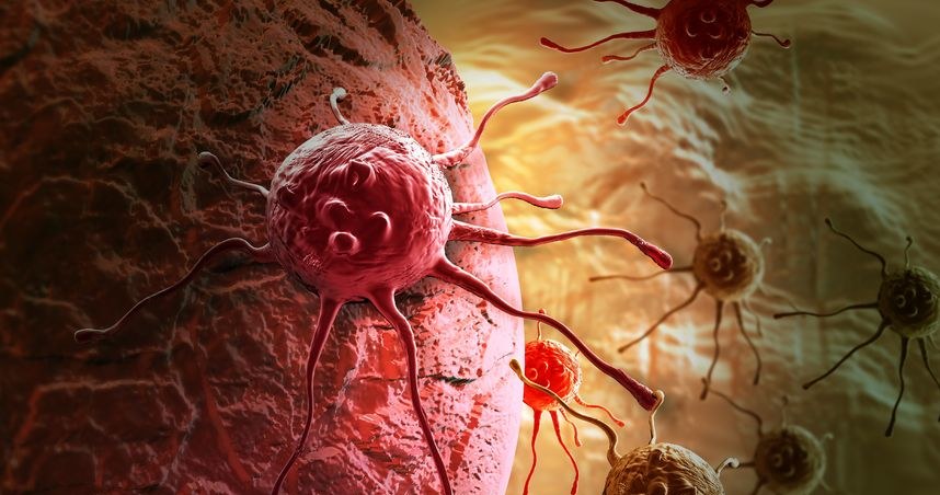 Naukowcy wykryli nowy mechanizm powstawania raka piersi /123RF/PICSEL