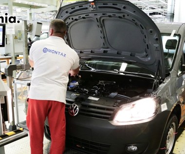 Naukowcy z AWF zajmą się pracownikami Volkswagena