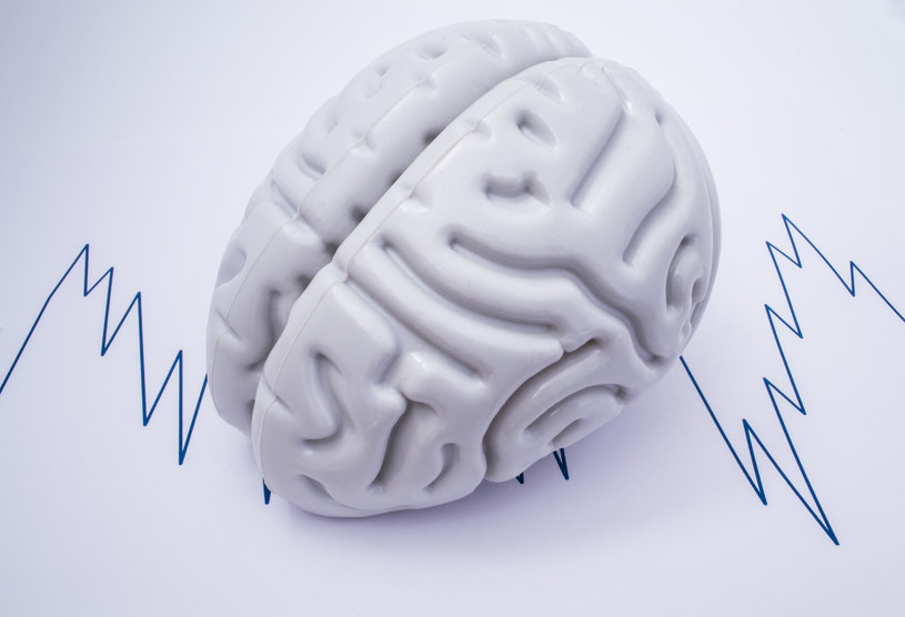 Naukowcy z Baylor College of Medicine postanowili przeanalizować zapisy elektrofizjologiczne mózgu /123RF/PICSEL