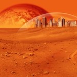 Naukowcy z Olsztyna myślą o lesie na Marsie