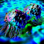 Naukowcy zamienili nowotwór w zdrowe komórki