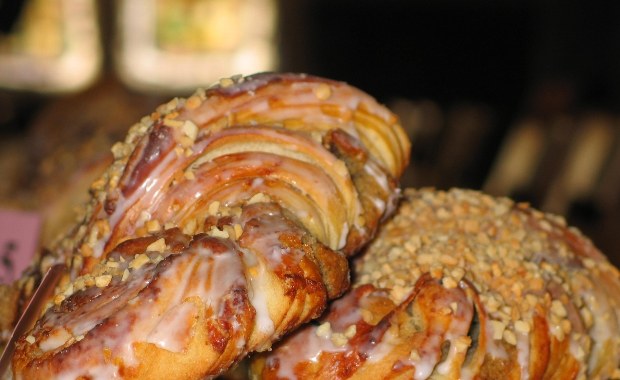 Naukowcy zbadali rogala świętomarcińskiego. Oto efekt