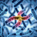 Naukowcy złamali kod umożliwiający bezbłędną edycję całych chromosomów