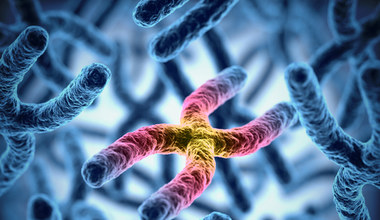 Naukowcy złamali kod umożliwiający bezbłędną edycję całych chromosomów