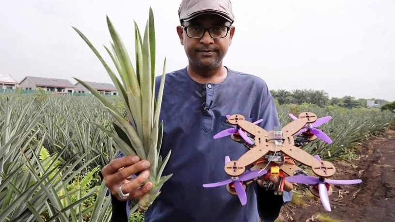 Naukowcy zmienili liście ananasa w części do drona. Oto wstęp do produkcji eko-dronów /Geekweek