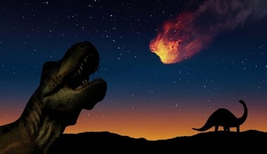 Naukowcy znają pochodzenie planetoidy, która unicestwiła dinozaury