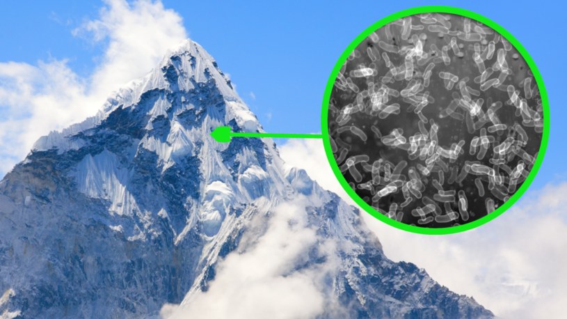 Naukowcy znaleźli na Mount Everest bakterie, które mogą mieć nawet kilka wieków