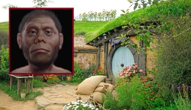 Naukowcy zrekonstruowali twarz „Hobbita” żyjącego 50 000 lat temu 