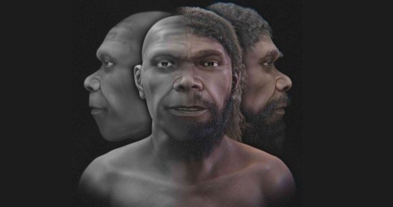 Naukowcy zrekonstruowali twarz najstarszego człowieka w historii /@OlujinmiToluwa1 /Twitter
