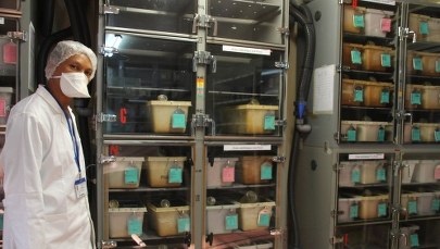 Naukowiec sprowadził do Francji śmiertelnie groźnego wirusa