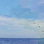 Navy chce wystrzeliwać drony z okrętów podwodnych