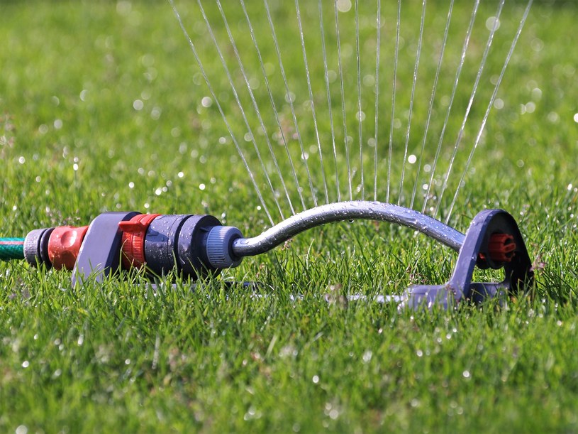 Nawadnianie trawnika w upały to kluczowa czynność pielęgnacyjna. Jak to robić dobrze? /pixabay.com /Tipy.pl