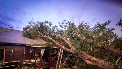 Nawałnica na Podkarpaciu. Pięć osób rannych, ewakuacja w szpitalu