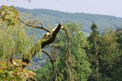 Nawałnica w Małopolsce. Skutki burz z gradem w powiecie brzeskim