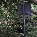 Nawałnice na północy Polski. Połamane drzewa i zalane piwnice