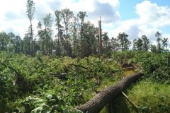 Nawałnice na zachodzie kraju. Połamane drzewa blokują tory