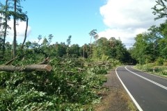 Nawałnice na zachodzie kraju. Połamane drzewa blokują tory