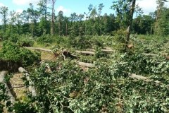 Nawałnice na zachodzie kraju. Połamane drzewa blokują tory
