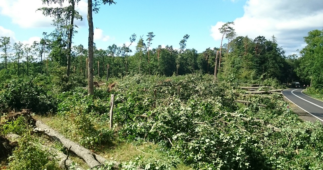 Nawałnice na zachodzie kraju. Połamane drzewa blokują tory