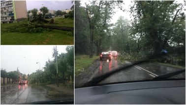 Nawałnice nad Polską: Jest ofiara śmiertelna i ranni. Tysiące powalonych drzew, pozrywane dachy