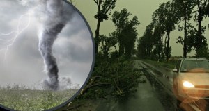 Nawałnice nie odpuszczają. IMGW wydał alerty przez burzami dla kilku województw