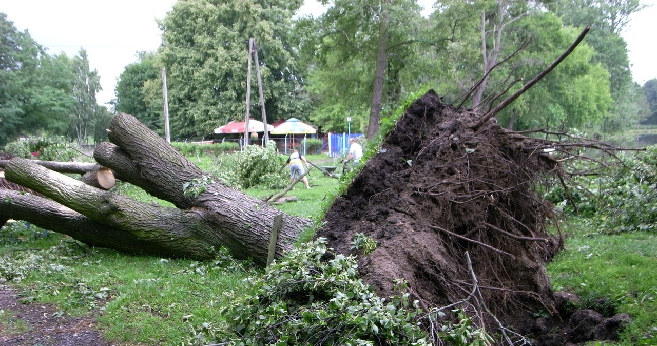 Nawałnice przeszły nad Polską. Synoptycy ostrzegają przed kolejnymi /ANDRZEJ ZBRANIECKI /East News